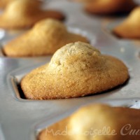 Madeleines à la vanille (avec une jolie bosse)