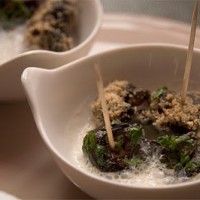 Escargots 2 saveurs et espumas à l'ail